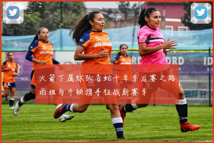 火箭下属球队毒蛇十年季后赛之路雨姐与牛顿携手征战新赛季