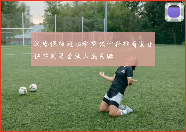 汉堡保级迫切希望武什科维奇复出但热刺是否放人成关键